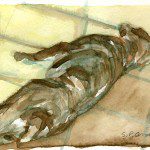 “Dog in the Sun”