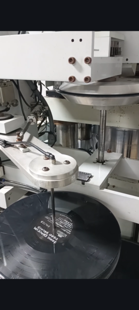 Zonic Shockum - Dead Orchid black vinyl production
